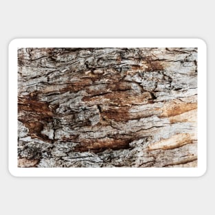 Rustic Orange & Brown Tree Trunk - Alternative Sticker